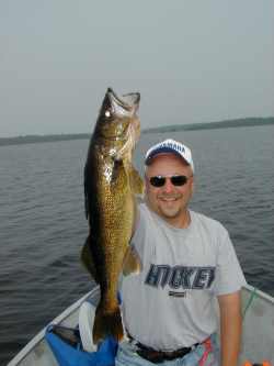 Nice Walleyes can be taken this time of year on plain old Lindy rigs