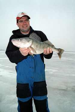 Jason Mitchell with a Nice Devils Lake Ice Walleye