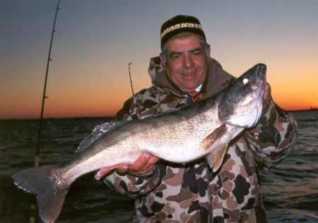Tony Puccio of Bait rigs Company holding a beutiful December Walleye form Lake Erie
