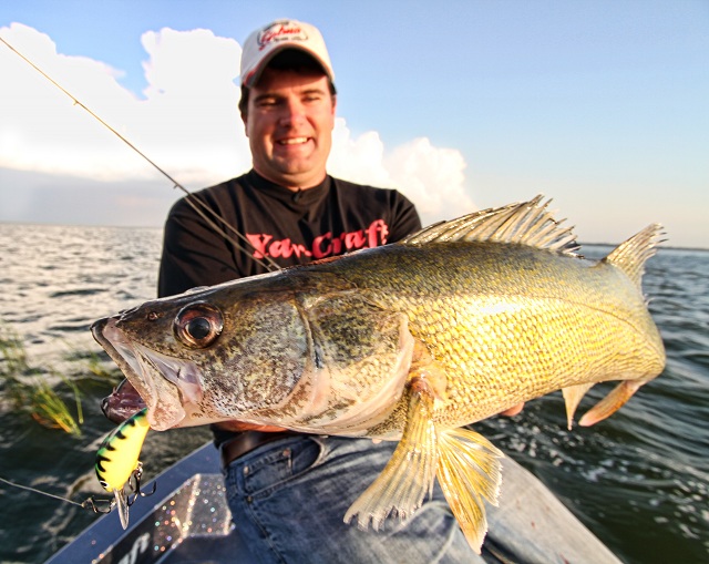 jason Mitchel with a huge crank bait walleye