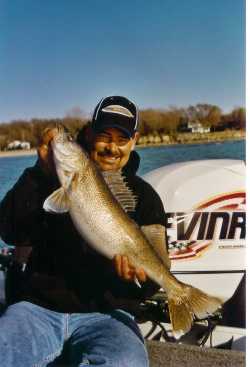Rick Olsen shows again how to put another big walleye in the boat