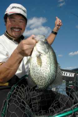 Pro fisherman Ted Takasaki with visual proof that he knows spring crappies! Thill floats, small Lindy jigs and a good idea of where to look is the recipe for slab success