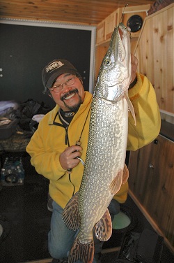 It only looks like Ted Takasaki battled this monster pike up through a hole in his hotel room