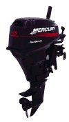 Mercury Marine 4-stroke 9.9 .  Keeps me on the fish quietly and efficiently