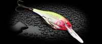 Rapala Shad Rap